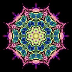 mandala drawing digital symmetrical pattern	