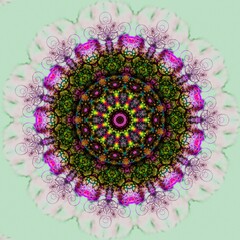 mandala drawing digital symmetrical pattern	