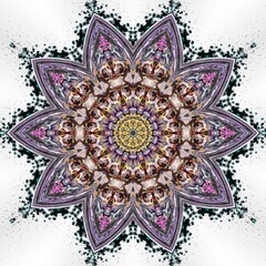 mandala drawing digital symmetrical pattern	