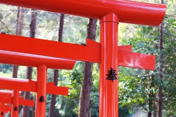 Foto op Plexiglas 鳥居　部分　torii © attinya
