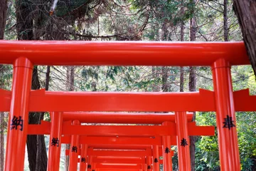 Foto op Plexiglas 鳥居　上部　 torii © attinya