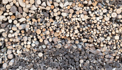 木　薪　wood　断面