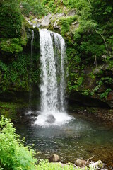 Naklejka premium 滝 