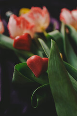 red rose on a green background