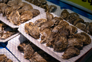Fresh oysters for sale in containers at an Asian wet market and supermarket. 