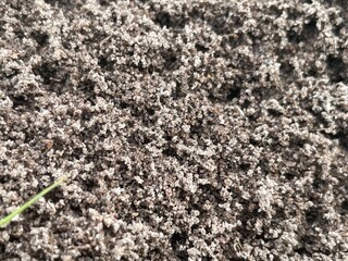 texture of the ground