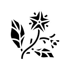 tomato flower glyph icon vector. tomato flower sign. isolated contour symbol black illustration