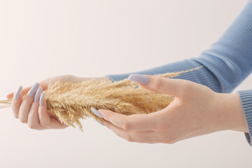 female hand  with bouquet of dried flowers on white background