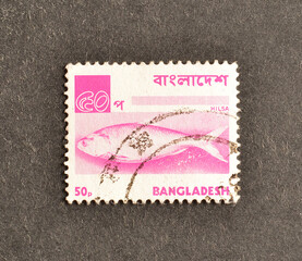 Cancelled postage stamp printed by Bangladesh, that shows Hilsa - Ilish Fish (Tenualosa ilisha), circa 1976.