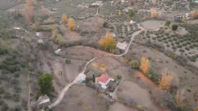Aerial view from olive's sea in Quesada, Jaen, Spain