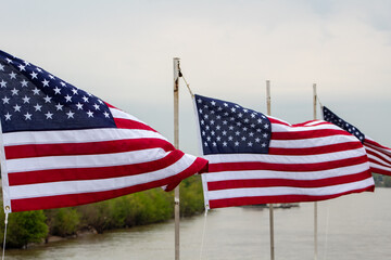 Row of US flags with depth of field.