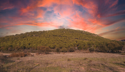 Fototapety na wymiar - Fototapeta24.pl