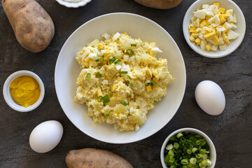 American Potato Sald with Mustard and Egg