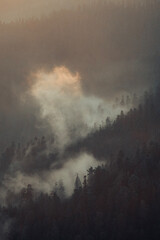 Fototapeta na wymiar nubes sobre bosque