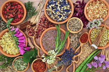 Herbal plant medicine  preparation with herbs and flowers for natural organic healing medication....