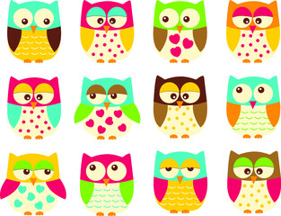 Owls, Birds, collection