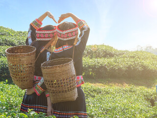 Two Hmong girls, Asian tribes, in traditional black costume with basket at the back making heart shape iwth hands while looking out in tea farmland, plantation while picking tea leaves.