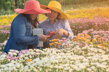 Two tourist ladies wearing bright hat, pink and yellow, in chrysanthemum farm looking at picture in the mobile phone with big smile.