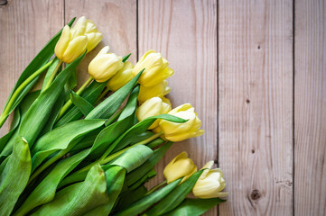 yellow tulips on background