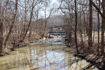 The creek in the woods on a sunny winter day.