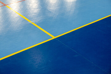 Playing field lines in a multi-sports pavilion