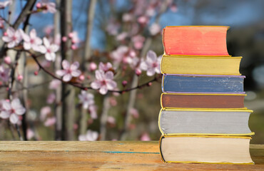 stack of books with blurred blossom tree in the background  holidays, springtime and relaxing...