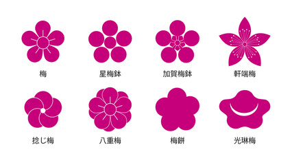 Japanese traditional plum pattern