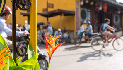 Heliconia flower against street traffic of Hoi An, Vietnam　ホイアンの通りを行き交う人々 ヘリコニアの花 ベトナム