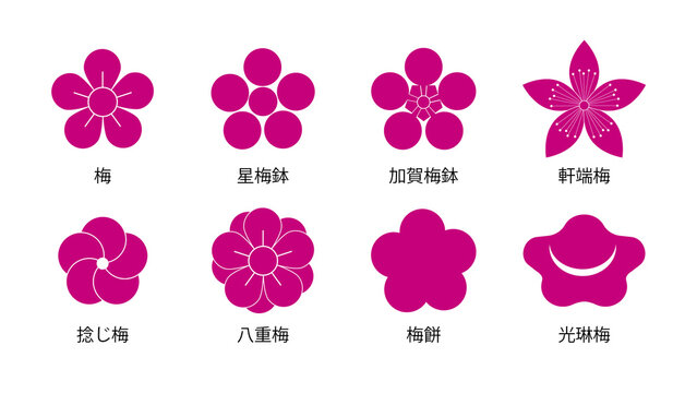 光琳梅 Images – Browse 19 Stock Photos, Vectors, and Video | Adobe