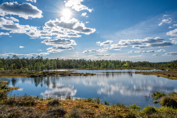 The sun shines among white clouds reflected on a blue pond surrounded by the forest in a wetland on a bright summer day