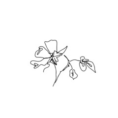 One single line rose flower drawing. Black ink line floral art