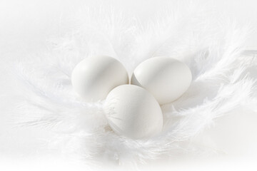 White eggs in a white soft and tender feather nest. Three white Easter eggs lie among soft fluffy white feathers.