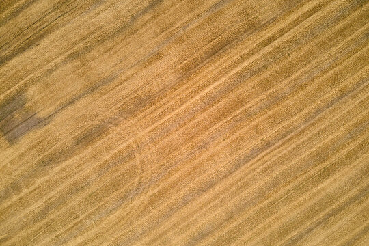 Aerial landscape view of yellow cultivated agricultural field with dry straw of cut down wheat after harvesting