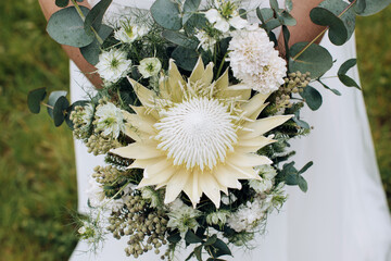The bride holds beauty wedding bouquet of white protea flowers - obrazy, fototapety, plakaty