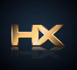 Modern Initial logo 2 letters Gold simple in Dark Background with Shadow Reflection HX