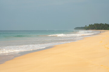 Fototapeta na wymiar Sri Lanka ocean sand beach landscape