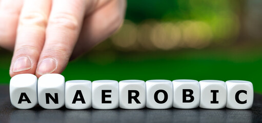 Symbol for aerobic training. Hand turns dice and changes the word anaerobic to aerobic.