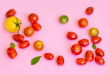 Organic Red Cherry Tomatoes on a Pink  Background 