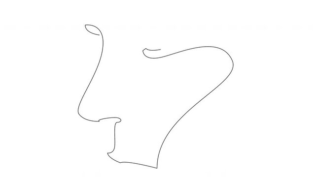 Self drawing simple animation of single continuous one line drawing of female face. Beauty girl or woman portrait. Drawing by hand, black lines on a white background