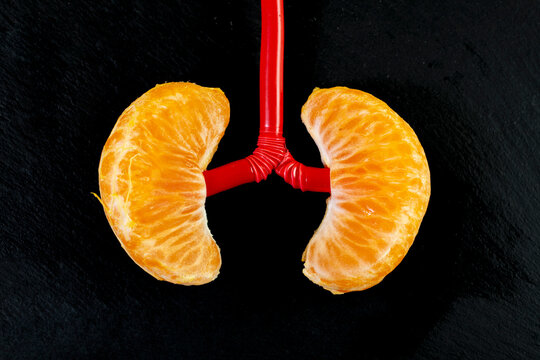 2 mandarin orange wedges representing lungs or kidneys on black background