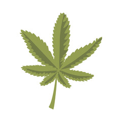 medicinal canabbis leaf