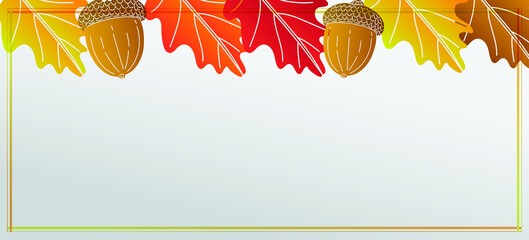 Autumn background, colorful leaves isolated on white background with copy space