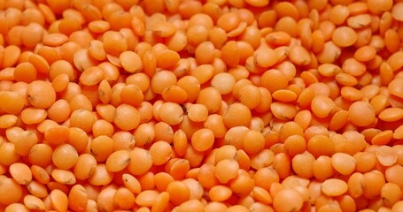 Closeup photo of natural dried red lentils rotating