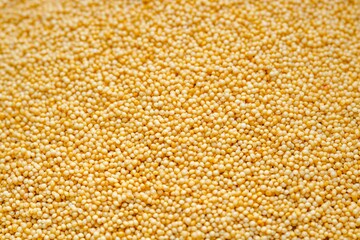 Closeup photo of natural dried seeds rotating