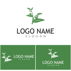 Eucalyptus leaves logo vector template design illustration