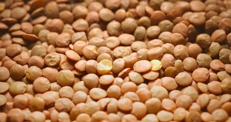 Closeup photo of natural dried brown lentils rotating