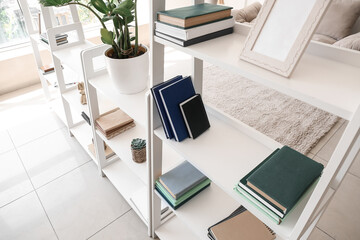 White book shelves with houseplant in light room