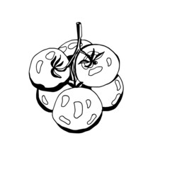 drawing black and white tomatoes