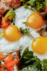 Full English breakfast with toast bread, chicken egg, mustard sauce, champignons, salad mix, cheese cream, sweet pepper