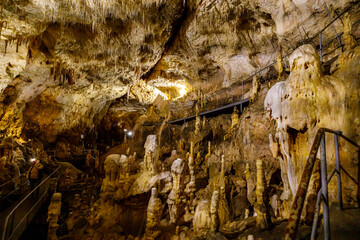 The bear cave pestera ursilor at chiscau in romania